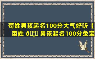 苟姓男孩起名100分大气好听（苗姓 🦅 男孩起名100分兔宝宝）